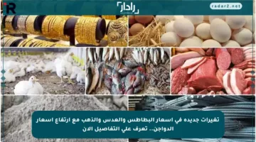 تغيرات جديدة في أسعار البطاطس والعدس والذهب مع ارتفاع أسعار الدواجن.. تعرف على التفاصيل الآن